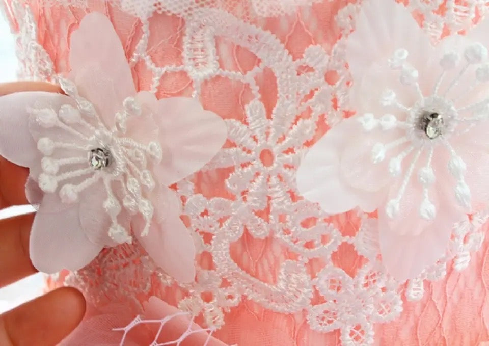 Fairytale Dog Dress | Elegant Long Gown for Dogs