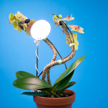28" Adjustable LED Plant Light