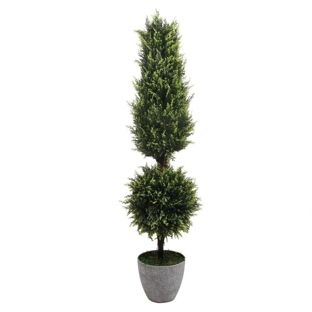 Buis topiaire en pot Jacob (plusieurs tailles)