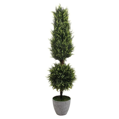 Buis topiaire en pot Jacob (plusieurs tailles)