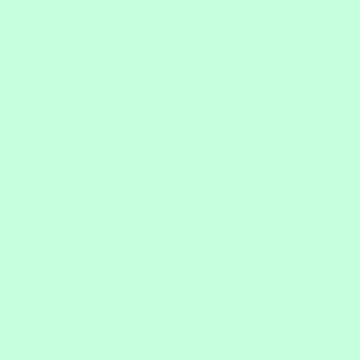 Color Works Menthe Givrée Unie - 9000-752