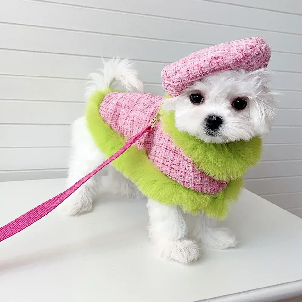 Ensemble Harnais à Carreaux | Ensemble Harnais, Laisse et Chapeau pour Chien