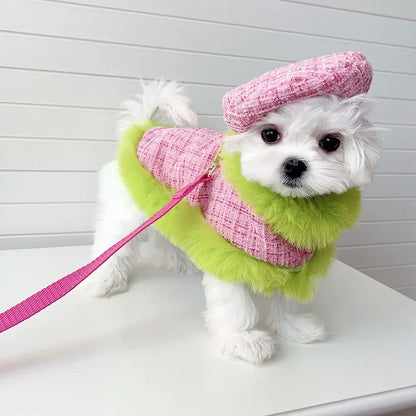 Ensemble Harnais à Carreaux | Ensemble Harnais, Laisse et Chapeau pour Chien