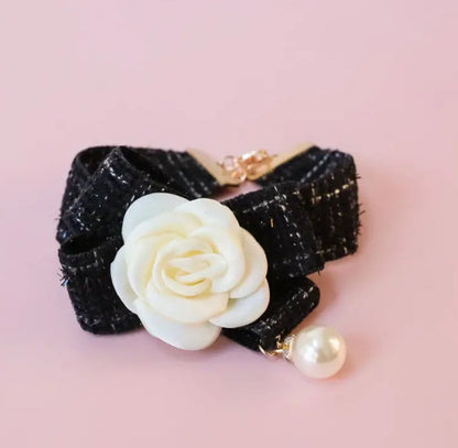 Collier pour chien Coco Chewnel | Collier pour chien