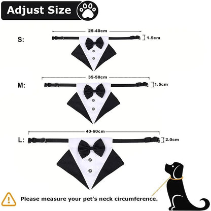 Collier de témoin