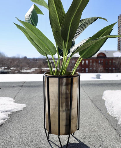 Neva - Brass Planter With Black Stand