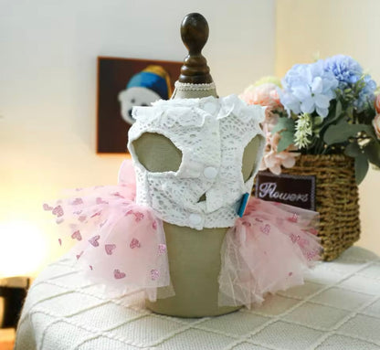 Laura Dog Dress | Designer Dog Dress for Small Dogs
