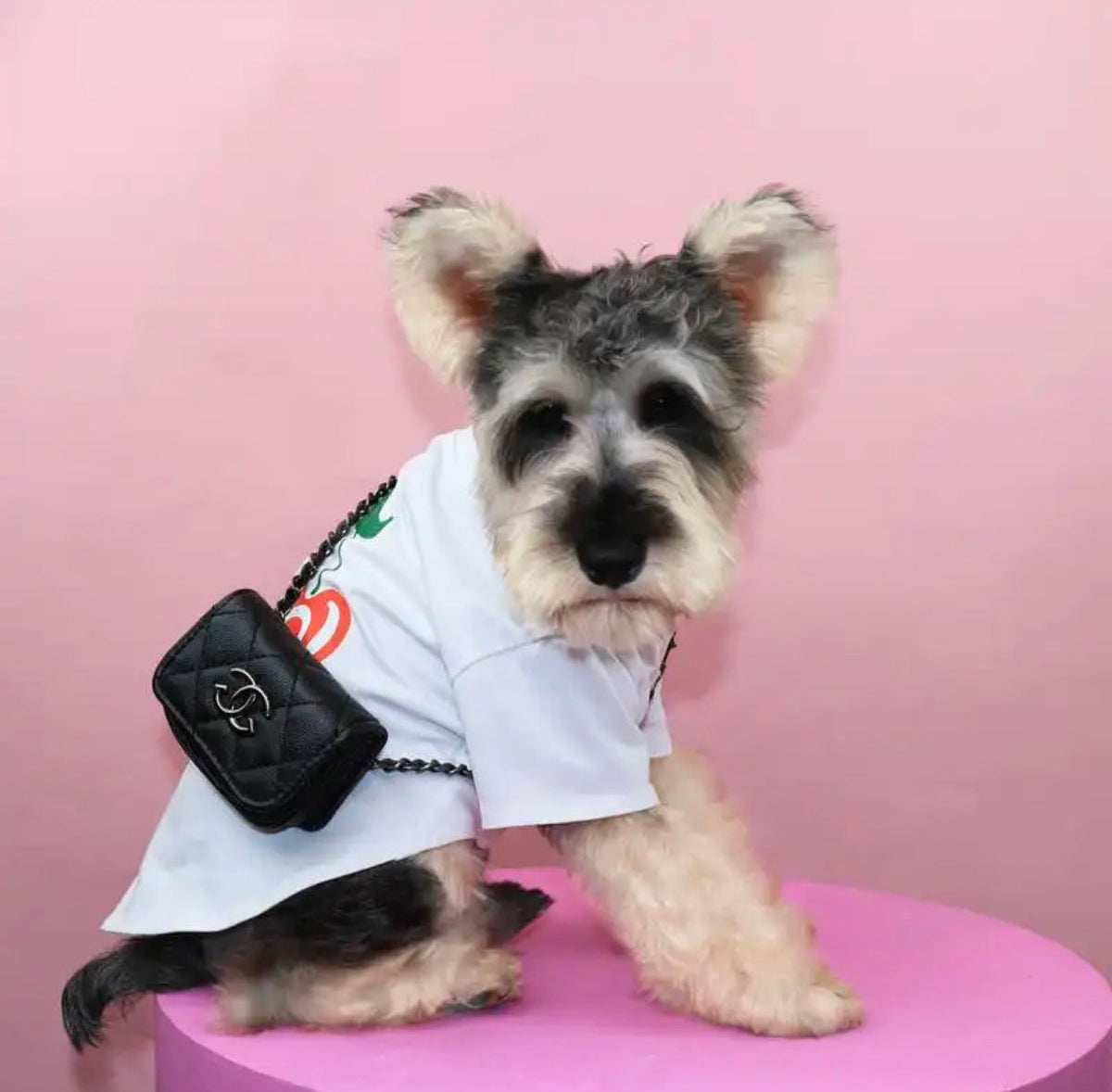 Sac à main pour chien | Sac à bandoulière pour chien Chewnel