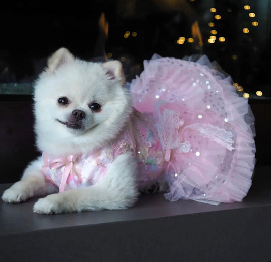 Robe pour chien Clochette – Tenue de luxe inspirée des fées pour chiens