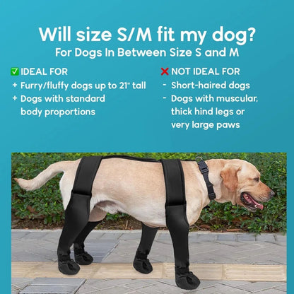 Bottes pour chien