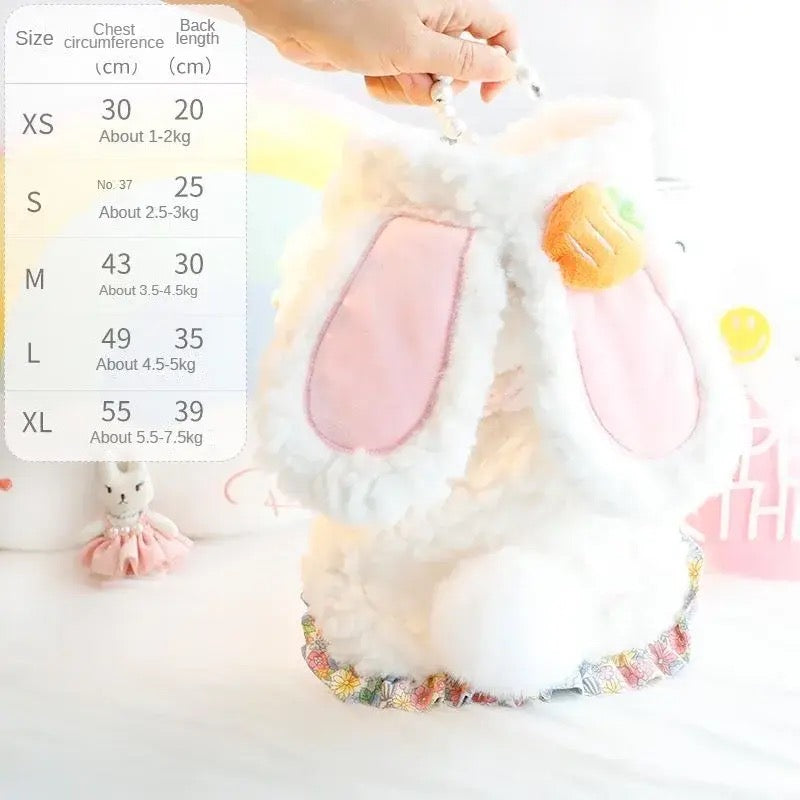 Tenue de lapin de Pâques
