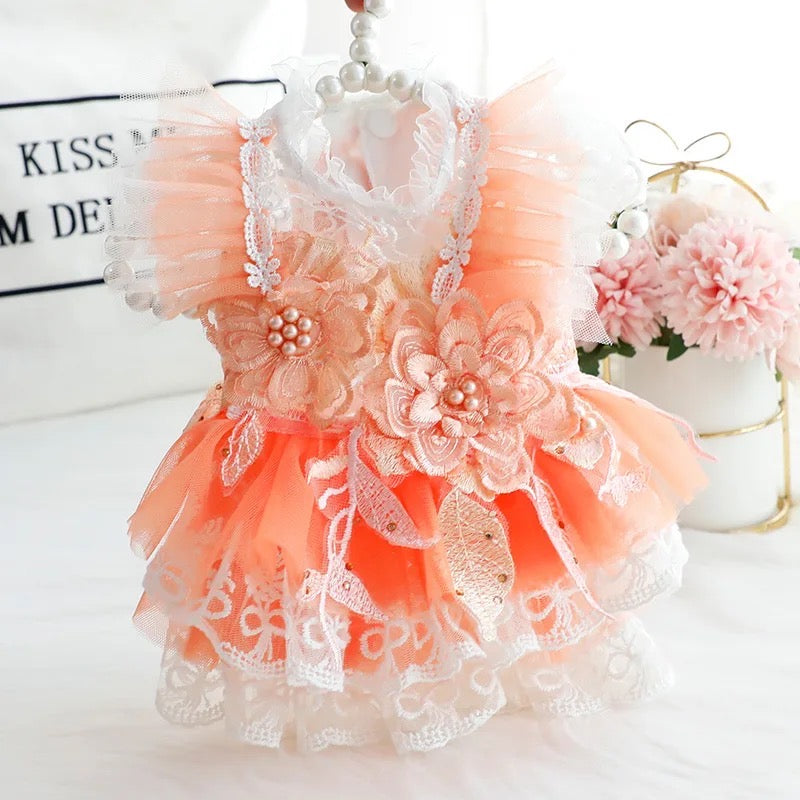 Robe Pêches et Crème