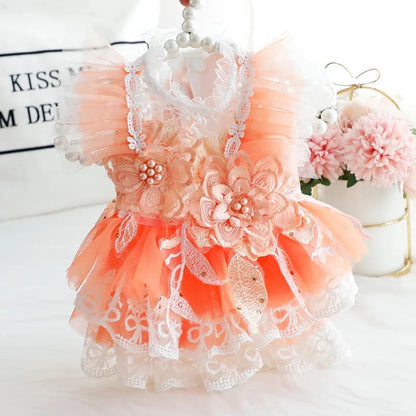 Robe Pêches et Crème
