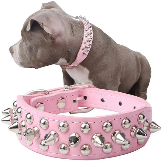 Collier pour Chien Stud – Collier de Luxe Tendance pour Chiens