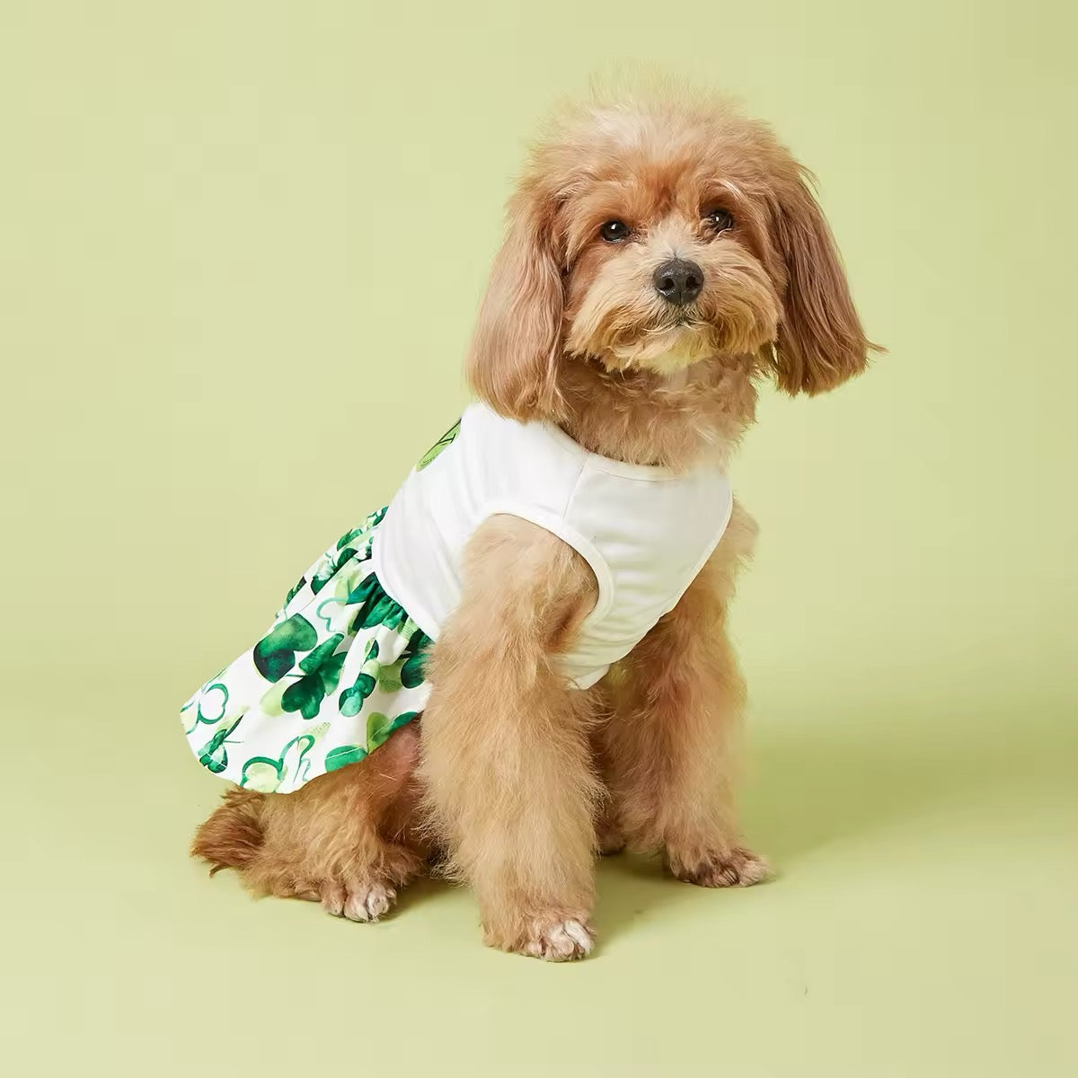Robe « C'est votre jour de chance » – Robe pour chien de la Saint-Patrick
