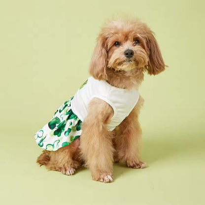 Robe « C'est votre jour de chance » – Robe pour chien de la Saint-Patrick