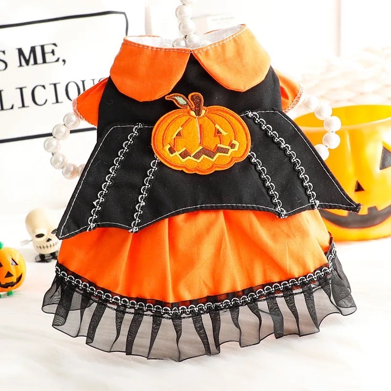 Pumpkin Dog Dress Costume | Halloween Dog Costume