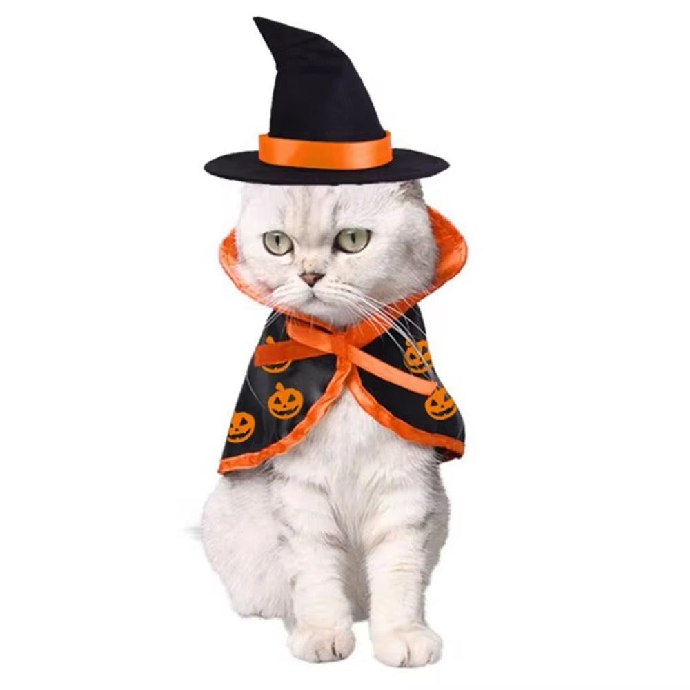 Déguisement d'Halloween Sorcière Citrouille pour chiens – Tenue d'automne pour chiens