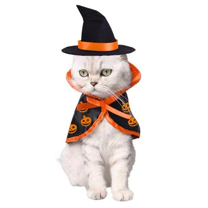 Déguisement d'Halloween Sorcière Citrouille pour chiens – Tenue d'automne pour chiens