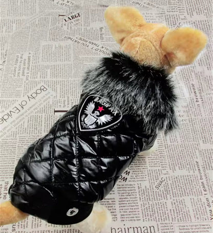 Veste Aviateur pour Chien | Veste pour Chien par Temps Froid