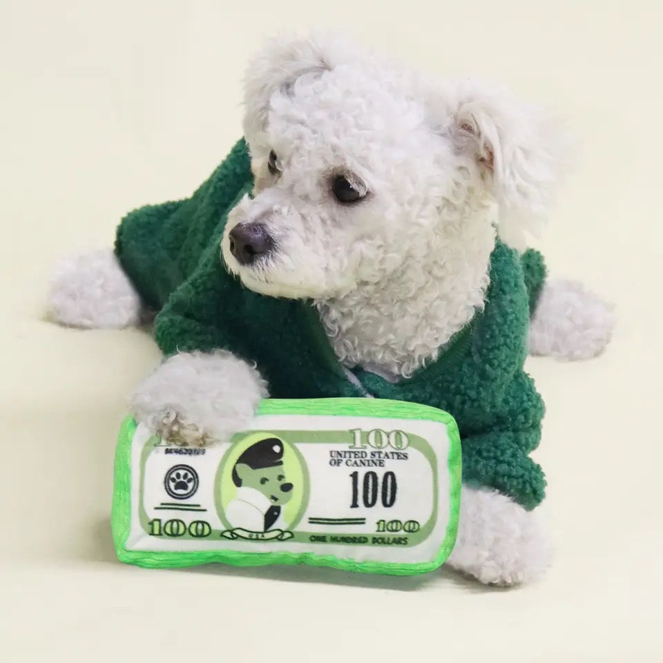 Jouet pour chien Dolla Bills – Peluche