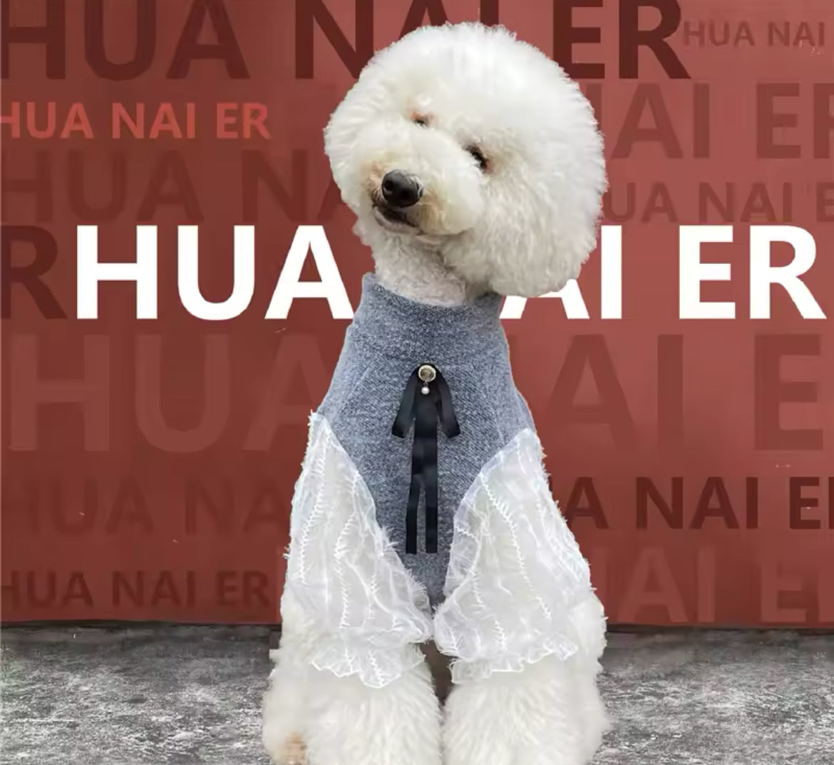 Pull pour caniche | Pull pour grands chiens