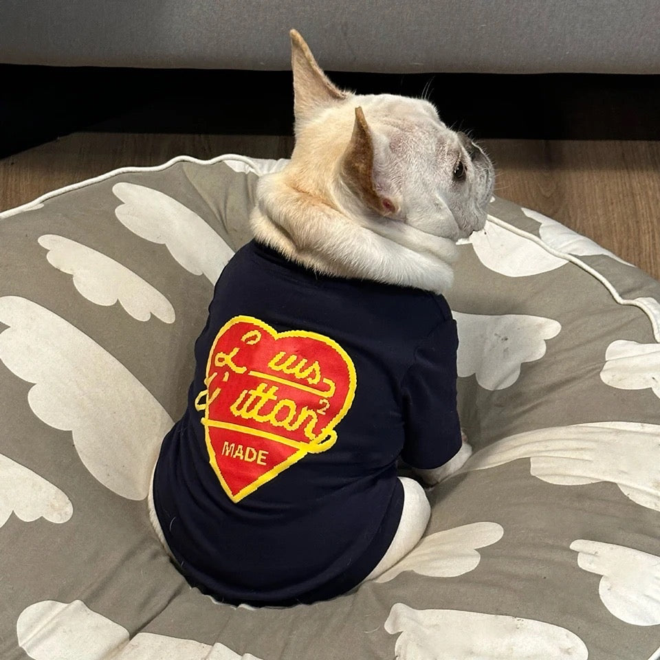 Pull pour chien Chewy Pawtton | Pull pour animaux de compagnie