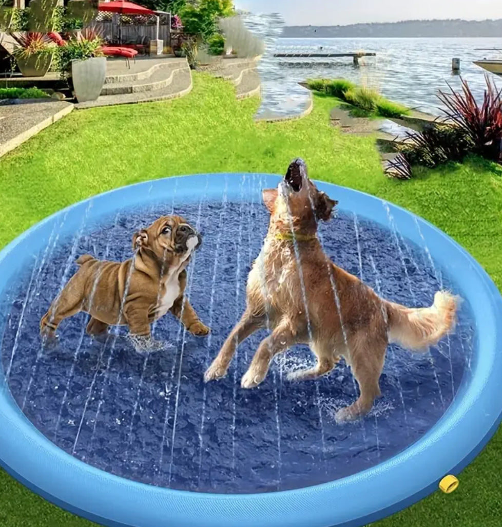 Piscine pour chien d'extérieur | Piscine pour chien