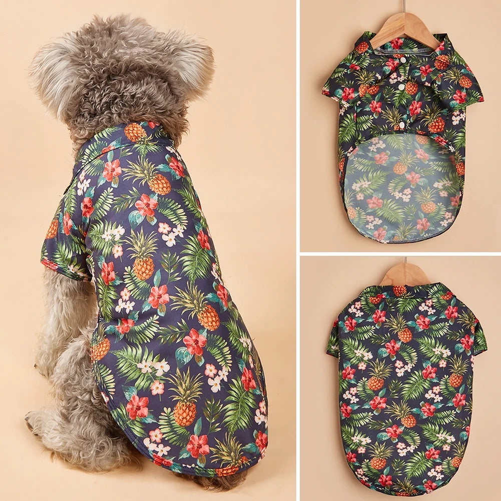 Chemise Austin