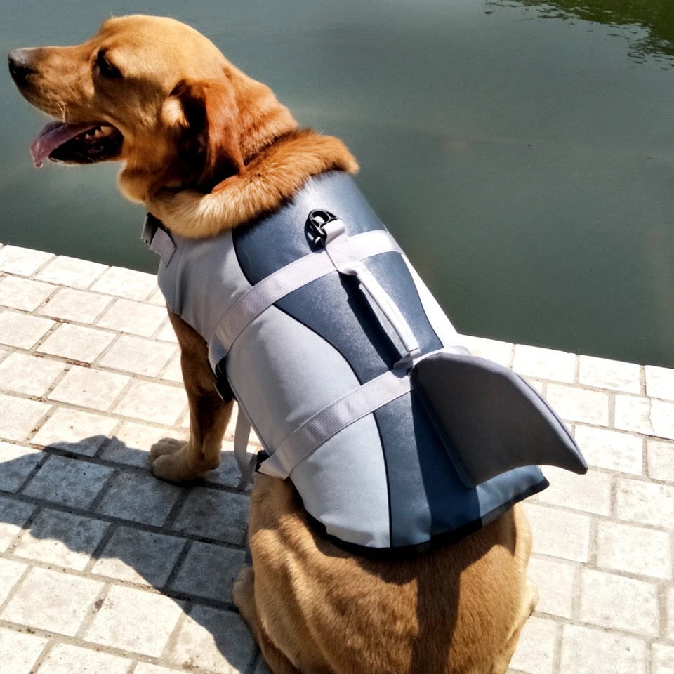 Gilet de sauvetage pour requins