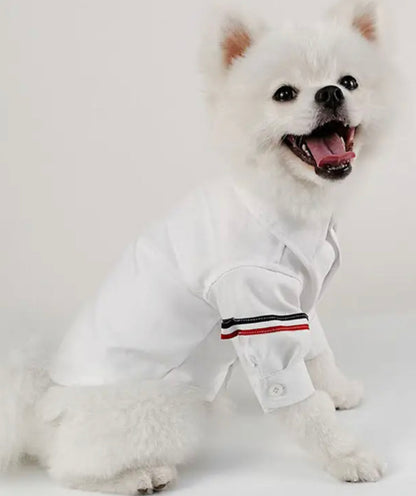 Chemise Leo