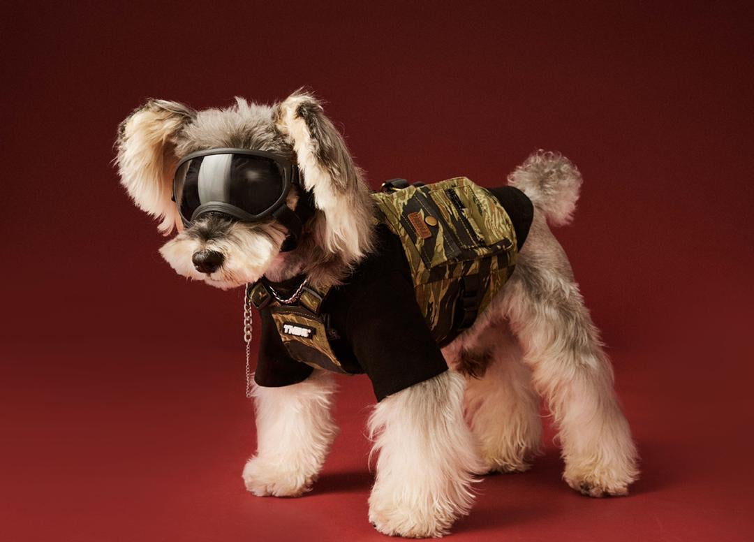 Gilet pour chien d'automne | Gilet pour chien par temps frais