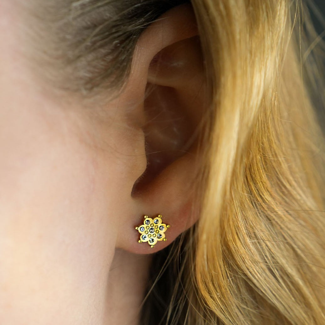 Modèle AGNES : Puces d'oreilles en zircone « Be a Star »