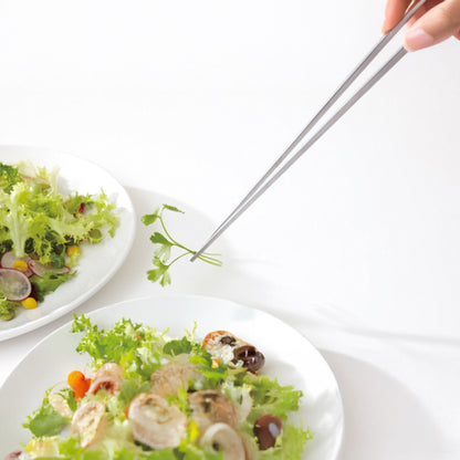 Eatoco Japan Saibashi – Pince de précision en acier inoxydable de 250 mm