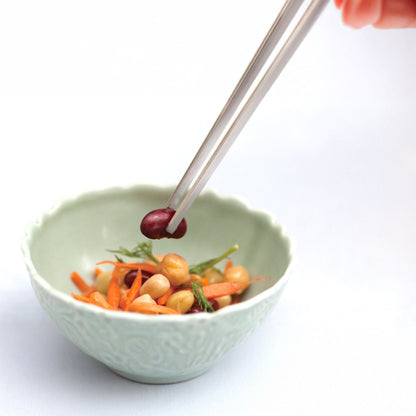Eatoco Japan Saibashi – Pince de précision en acier inoxydable de 250 mm