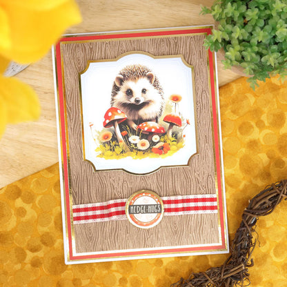 Adorables Animaux Sélection Scorable Adorable