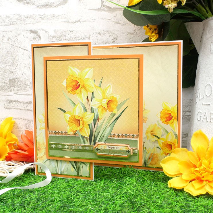 In Full Bloom Adorable Scorable Selection