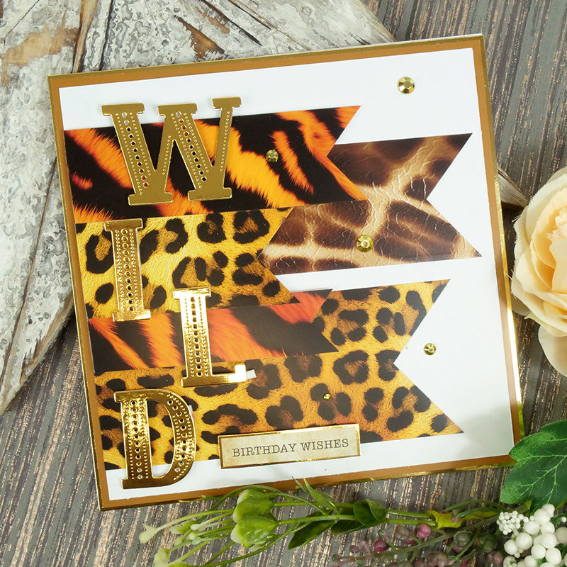 Adorables paquets de cartes de créateurs à marquer - Imprimés animaux