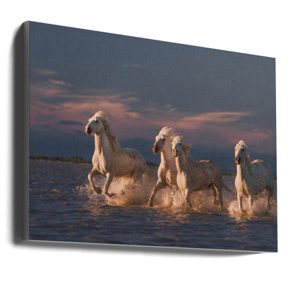 Wall art Angels of Camargue. Horses