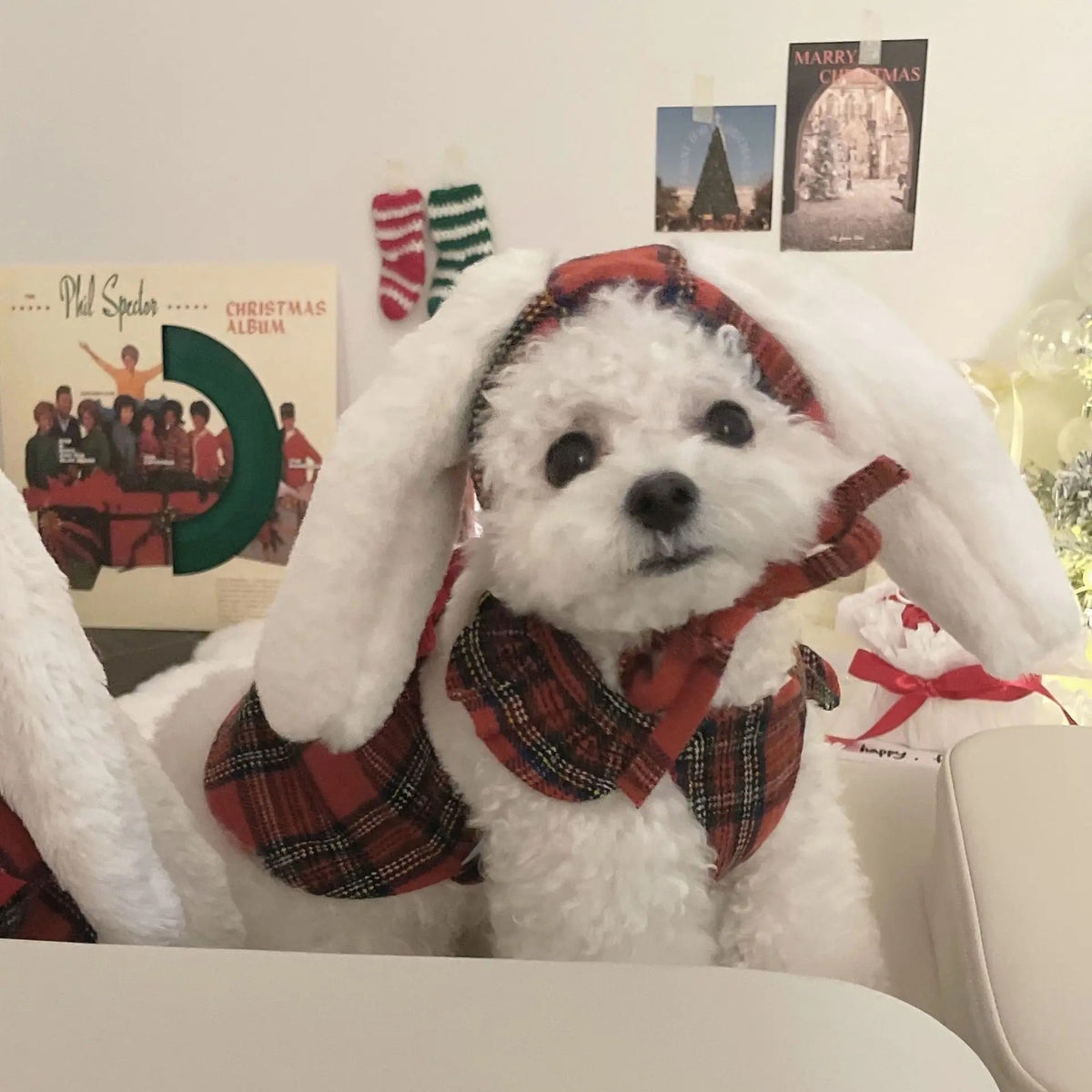 Robe Hiver Lapin pour Chiens – Robe Chien à Carreaux Rouges avec Chapeau