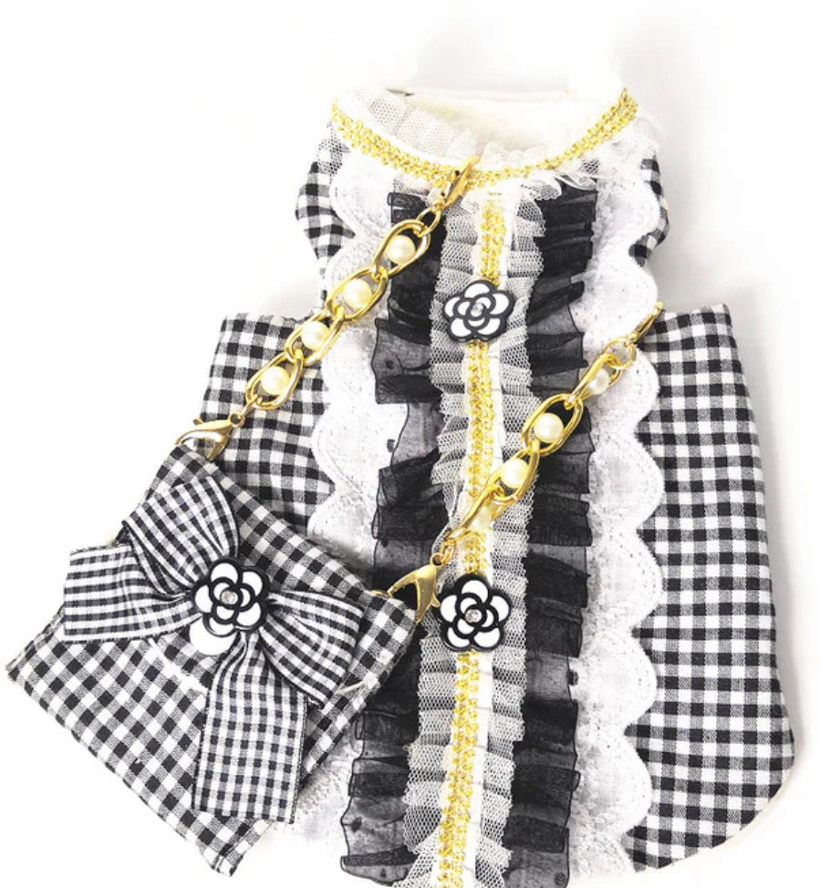 Robe et sac à main Chewnel