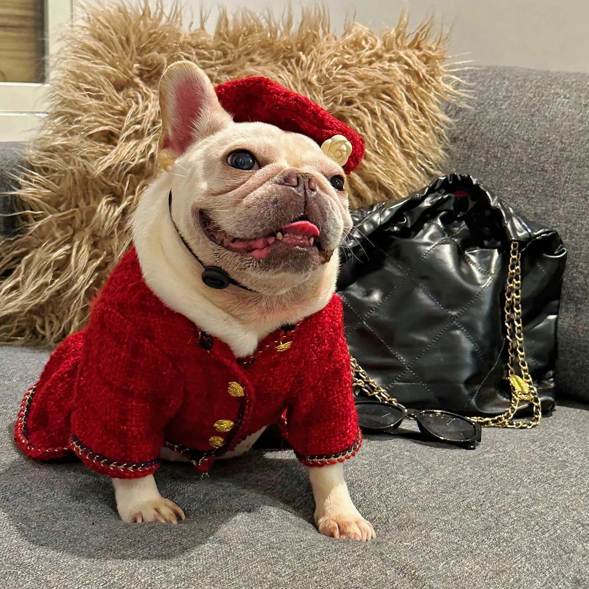 Robe et Chapeau pour Chien | Tenue en Tweed Chewnel pour Chien