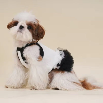Robe pour Chienne Tina – Robe Élégante en Tulle pour Chienne