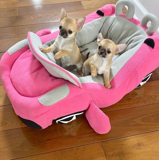 Lit Babylicious Princesse – Lit de luxe pour chien