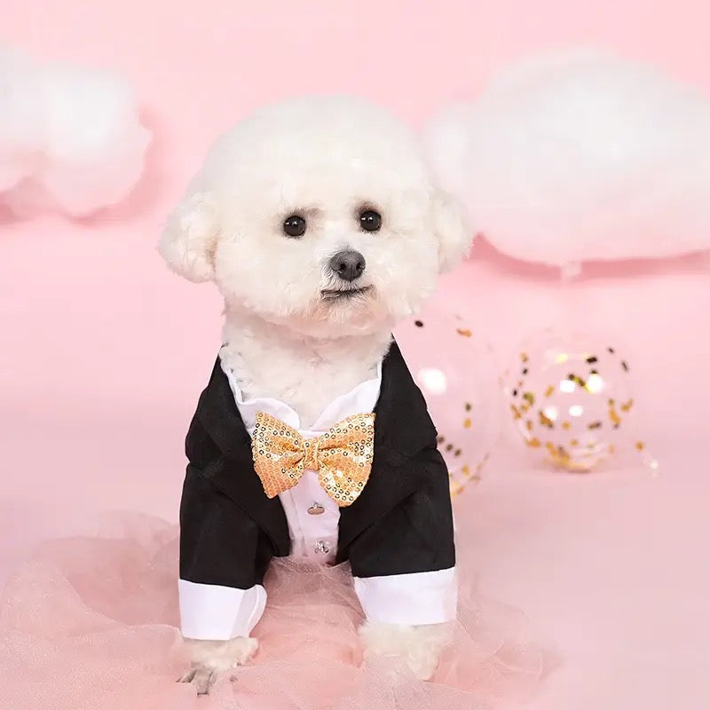 Costume de disco