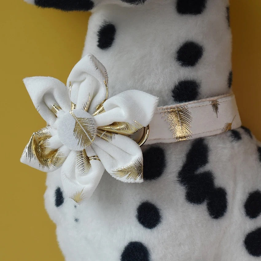 Daisy Bloom Engraved Dog Collar and Leash Set | Personalized Walking Accessories