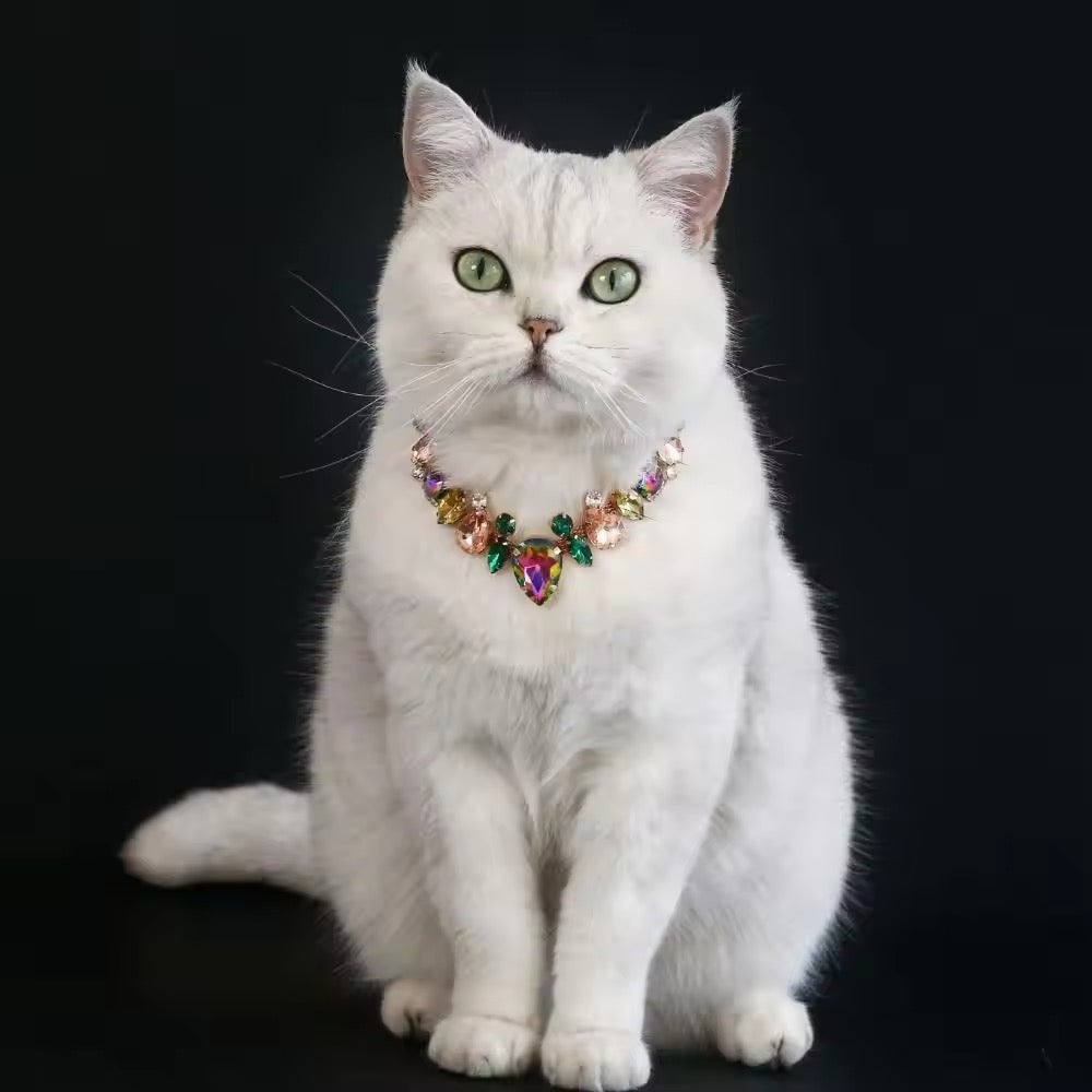 Collier Bridgette – Collier de luxe pour animaux de compagnie en strass