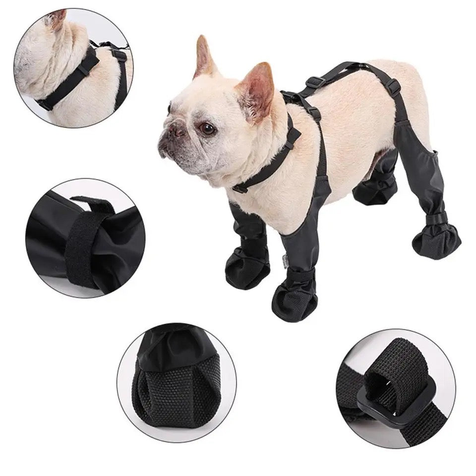 Bottes pour chiens | Bottes de protection des pattes pour chiens