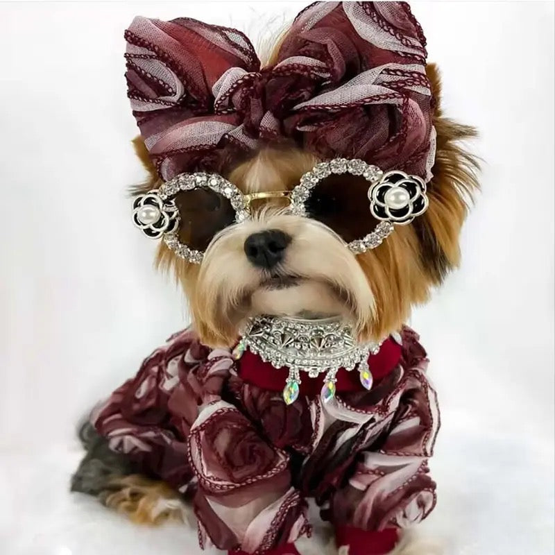 Coco Chewnel Rhinestone Dog Sunglasses | Pet Sunglasses