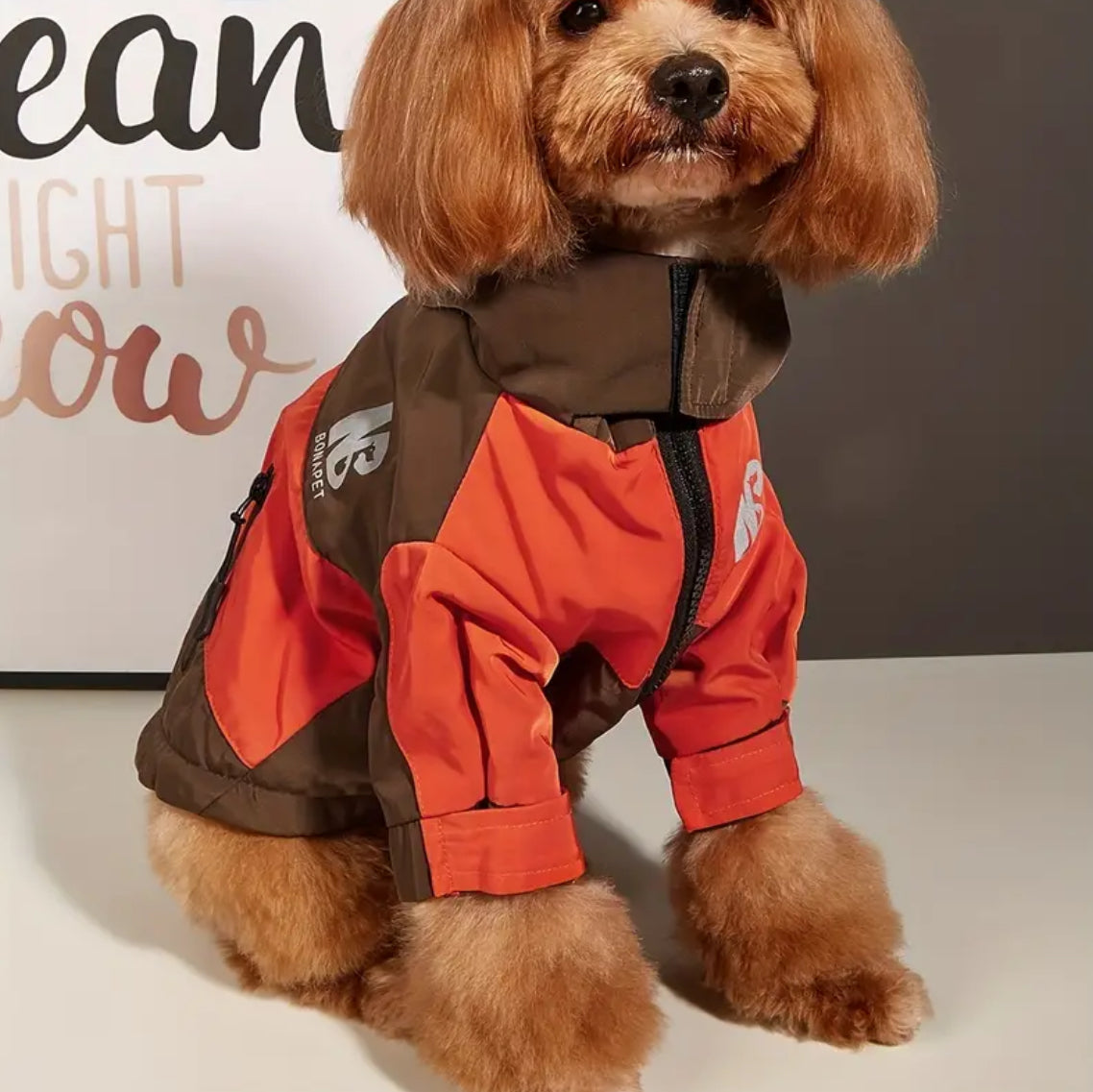 Charlise Dog Jacket | Dog Jacket for Cold Weather